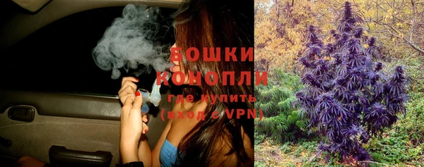 бошки Алзамай