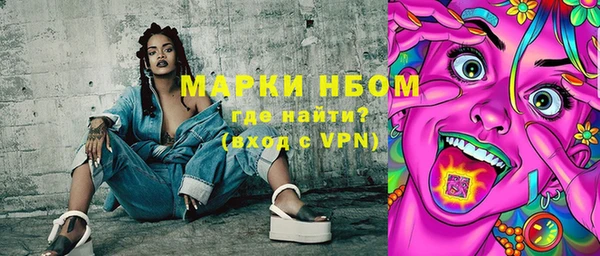 прущие грибы Грязовец