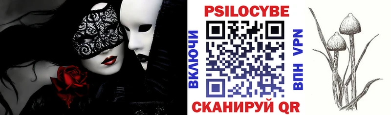 как найти закладки Гаврилов Посад Псилоцибиновые грибы мицелий